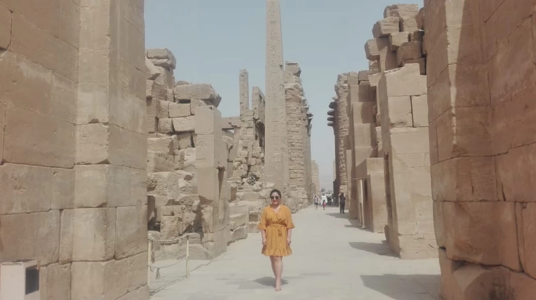 Voyage dans les temples de l'Égypte ancienne Les temples de l'Égypte ancienne